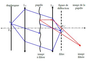 voir